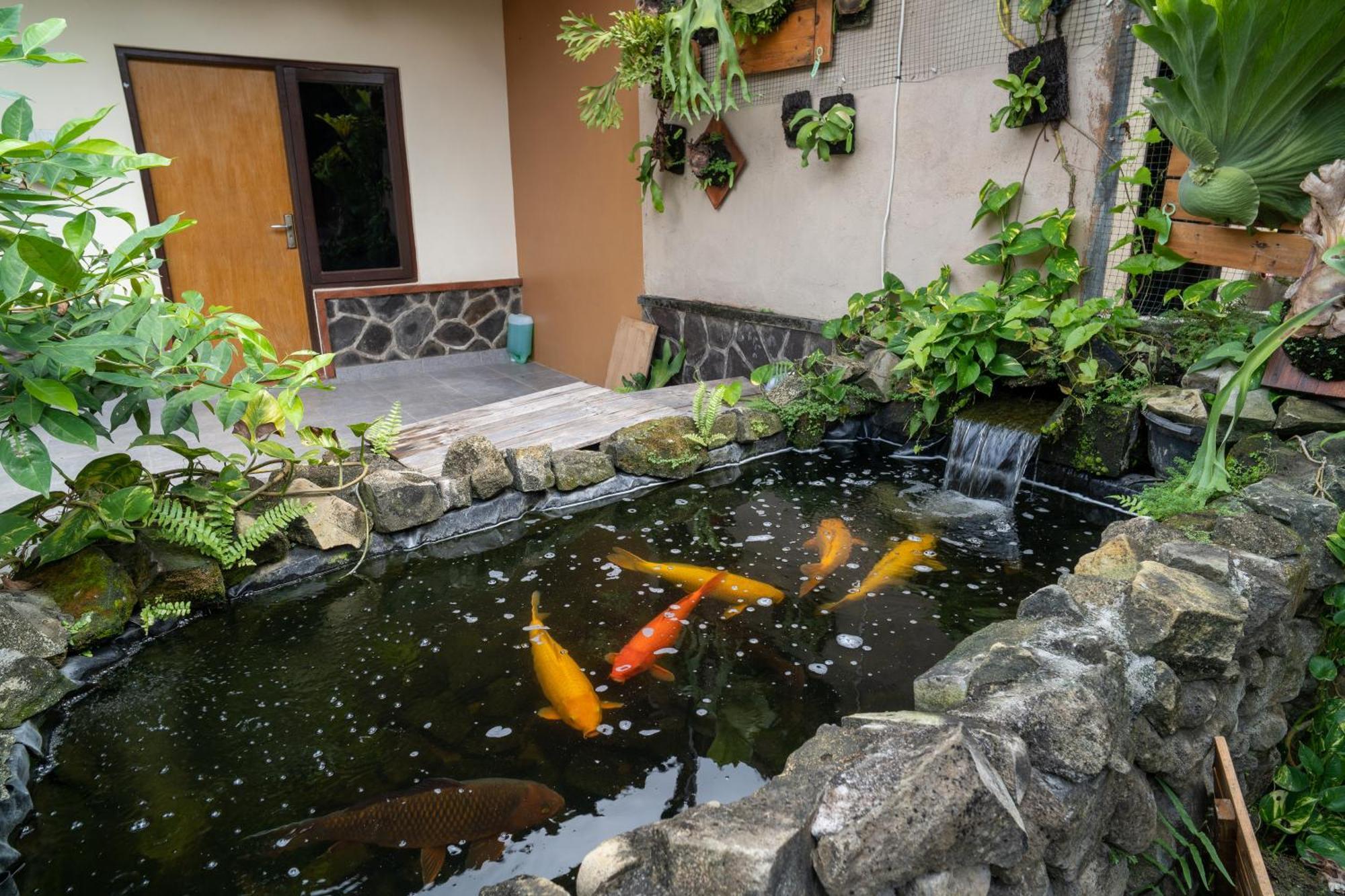 Bed & Breakfast Vinaya Ubud